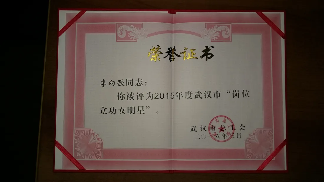 2015 年度武汉市“岗位立功女明星”（武汉市总工会）