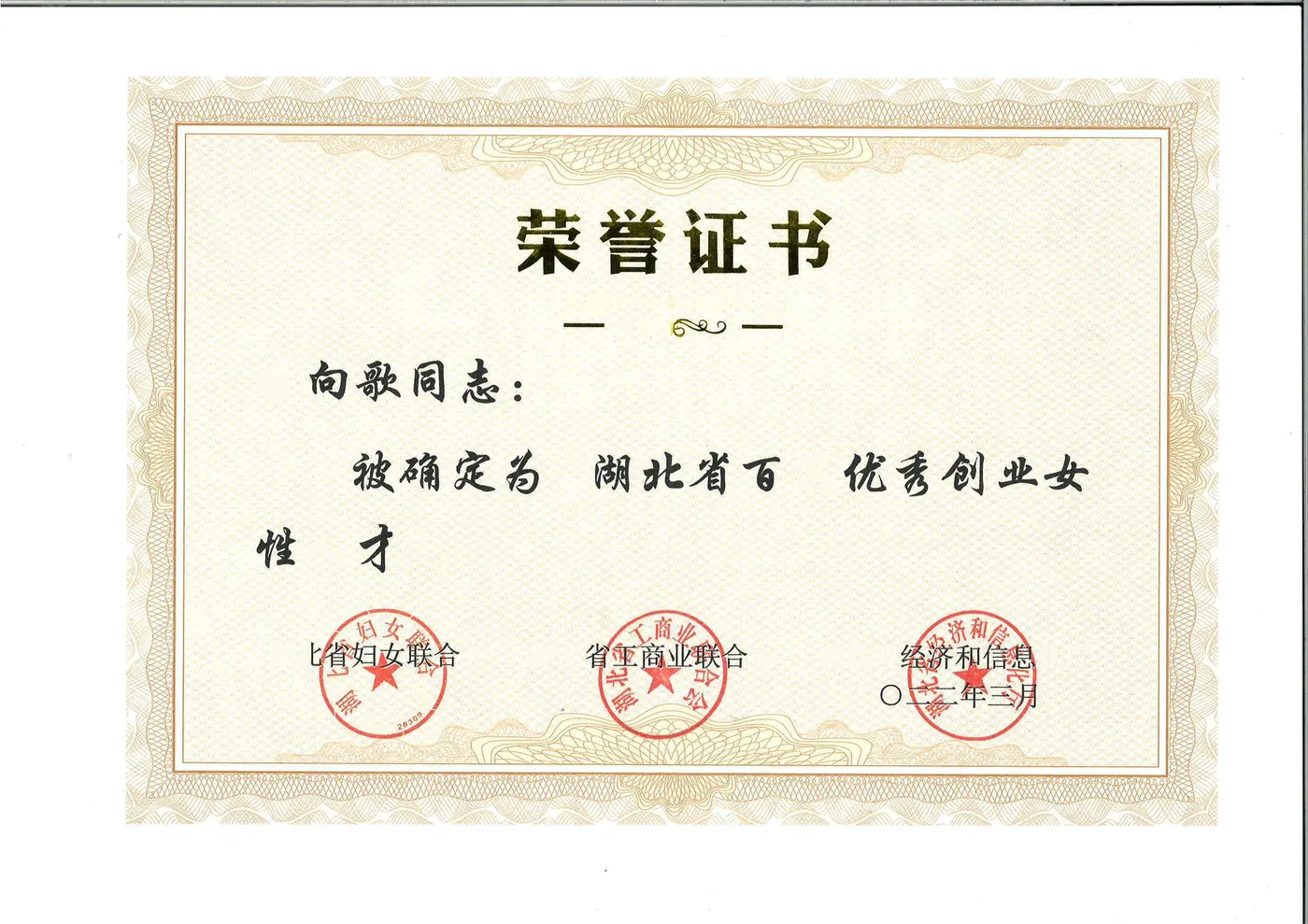 湖北省百名优秀创业女性人才（湖北省妇女联合会、湖北省工商业联合会、湖北省经济和信息化委员会）